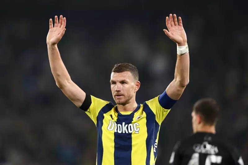 إيدين دجيكو